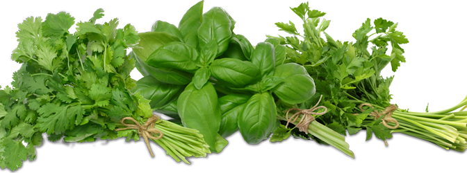 Indoor Herb Garden Ideas - Baking Naturally