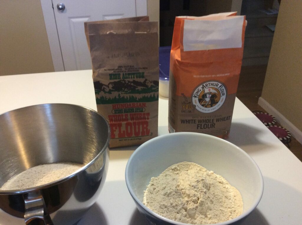 Testing white versus regular whole wheat