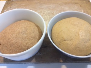 White whole wheat versus regular whole wheat