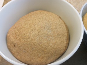 Regular whole wheat rising in bowl