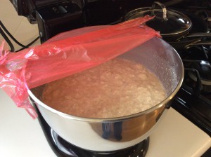 Sponge stage of dough