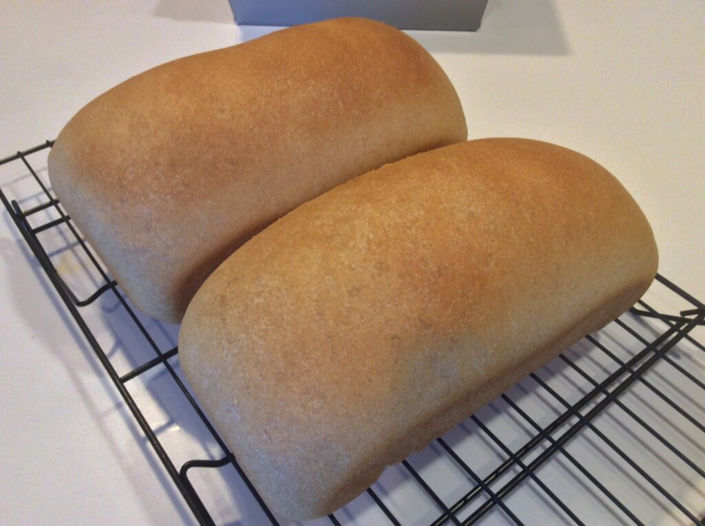Two Honey Whole Wheat Bread loaves cooling on a rack