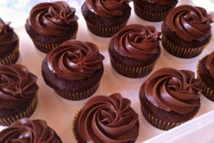 Rich Moist Chocolate Cupcakes in a cupcake carrier