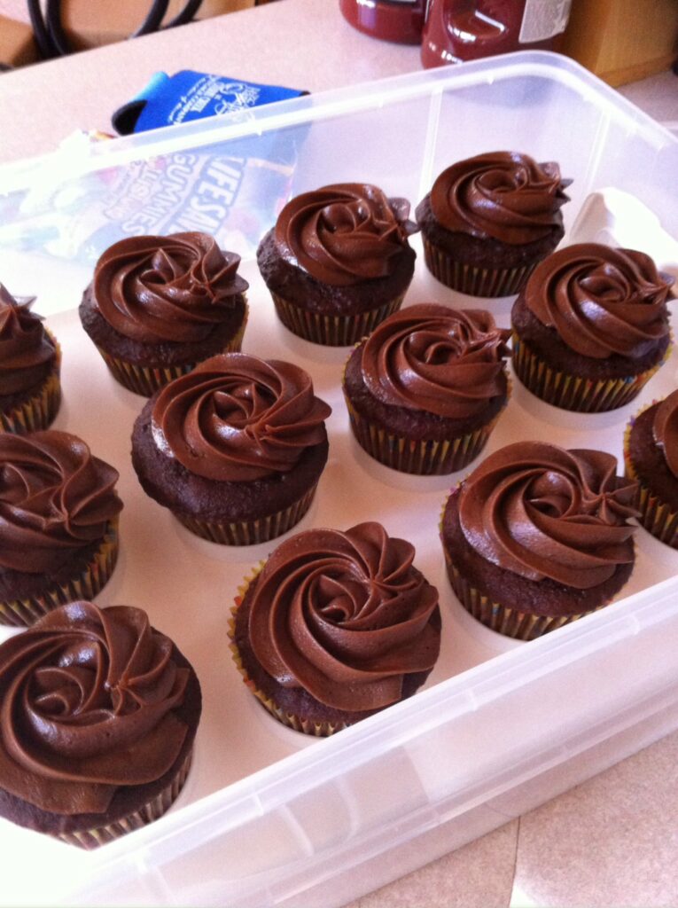 Rich Moist Chocolate Cupcakes in a cupcake carrier