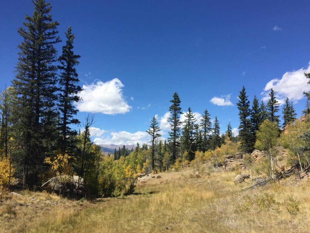 Colorado Mountain Scenery